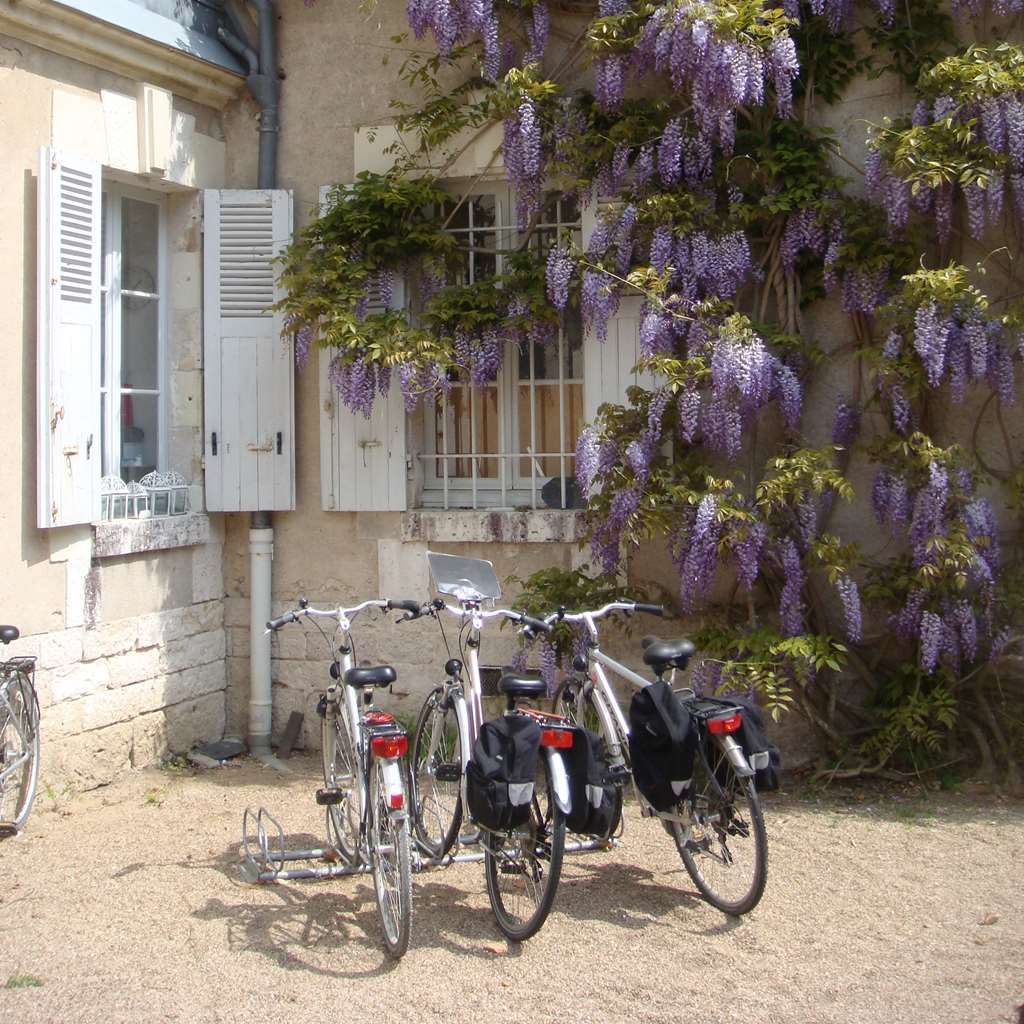 Les Sources de Cheverny Extérieur photo