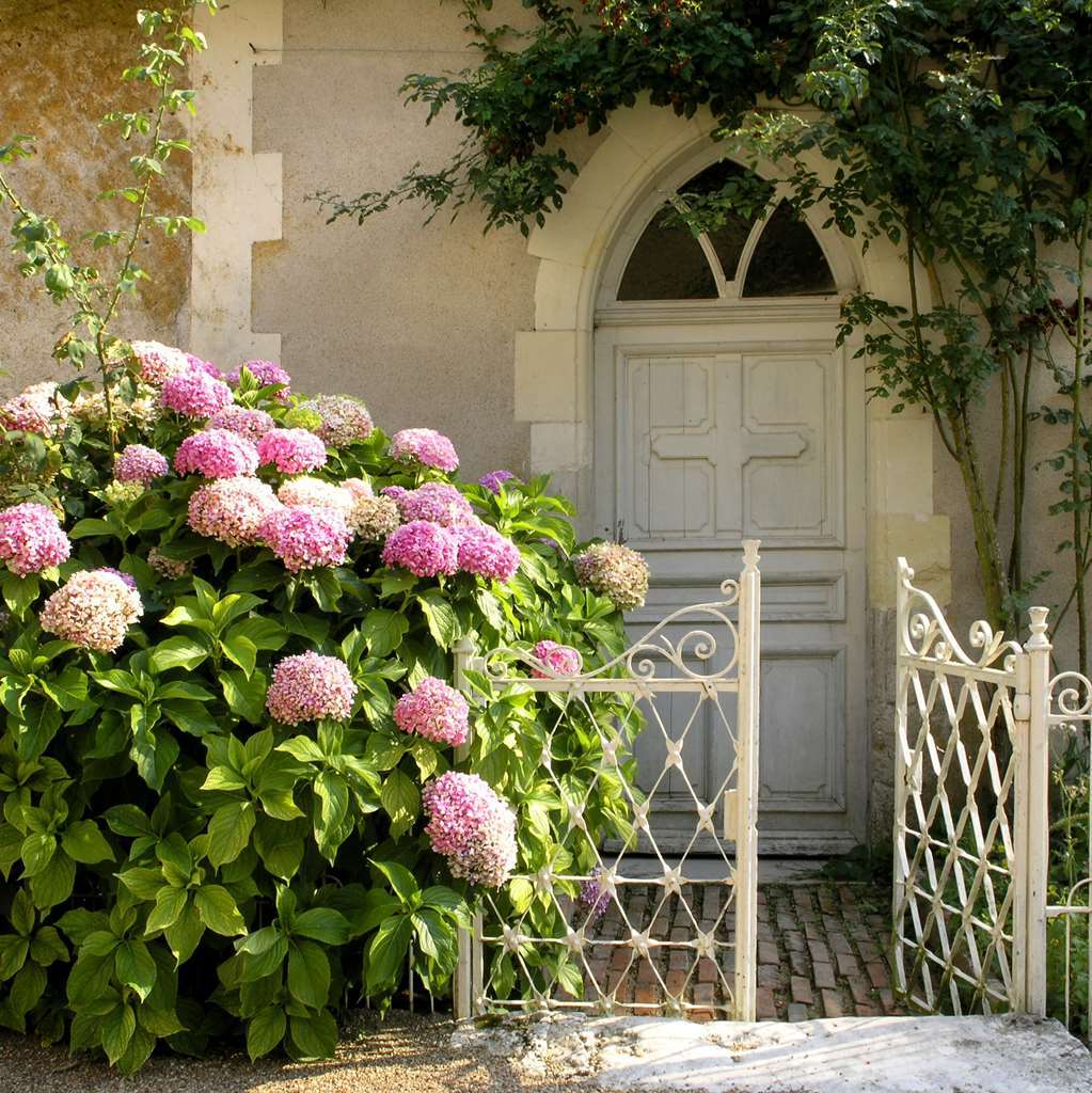 Les Sources de Cheverny Extérieur photo